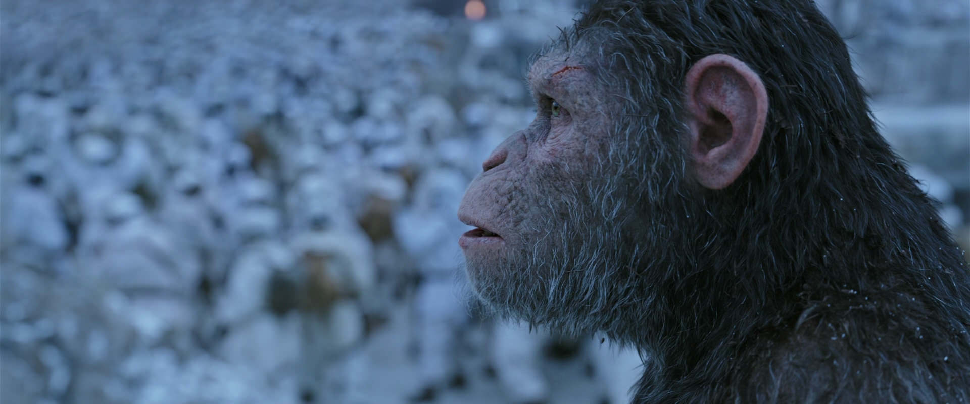 War for the Planet of the Apes (2017) screencap 14655