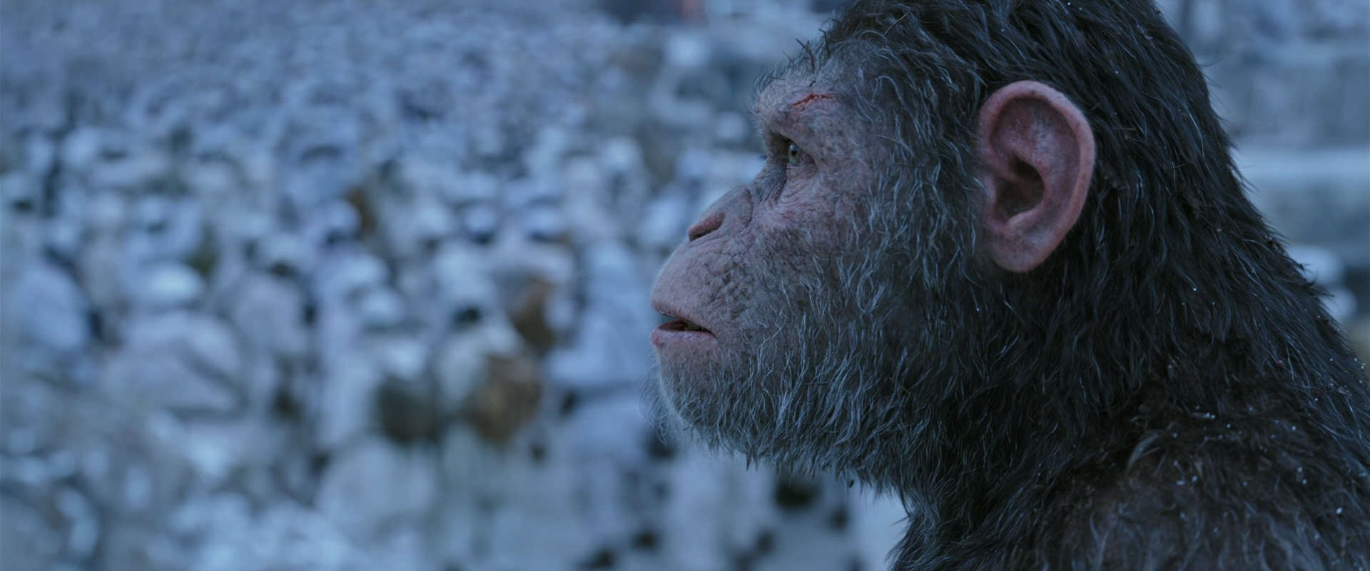 War for the Planet of the Apes (2017) movie still 14656