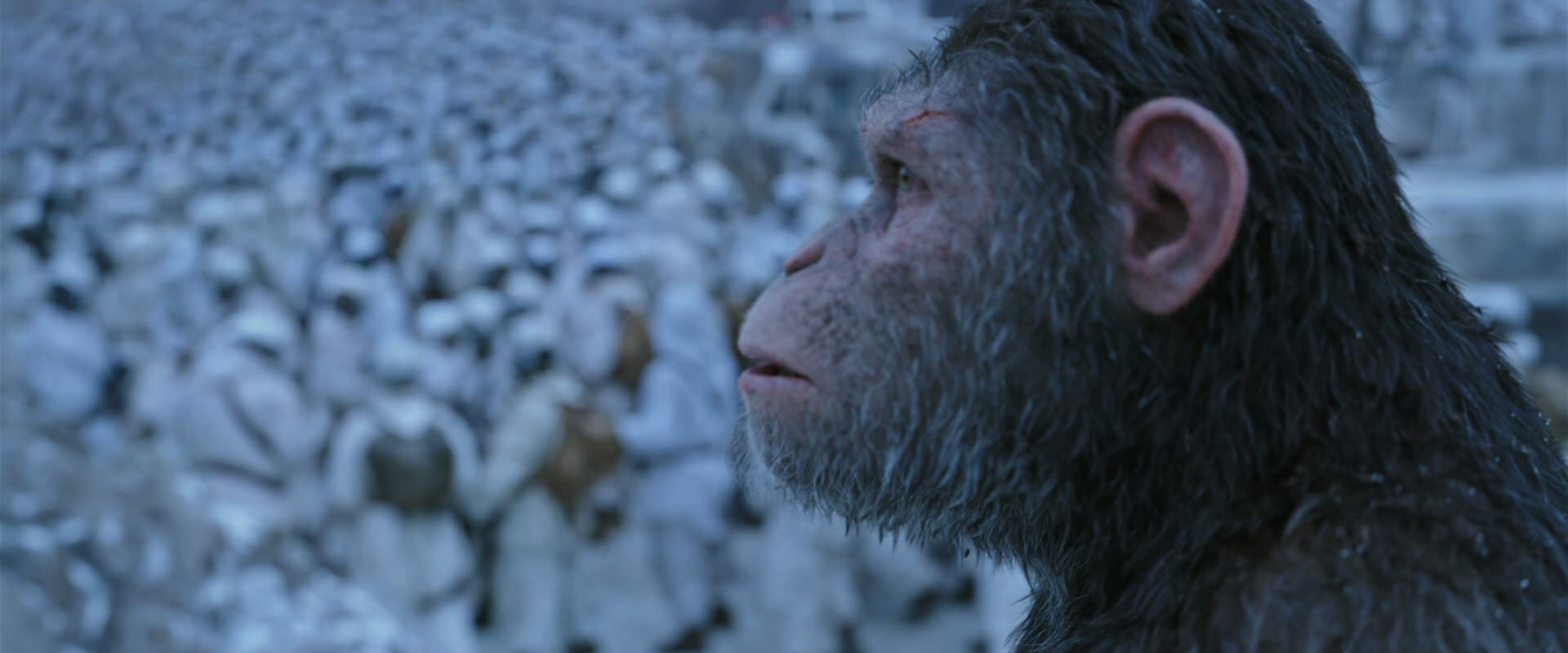 War for the Planet of the Apes (2017) HD screenshot 14657
