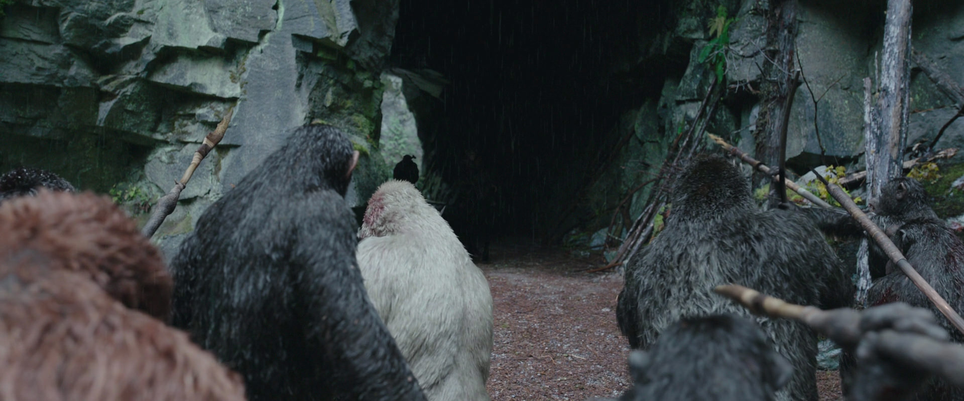 War for the Planet of the Apes (2017) HD screenshot 1466