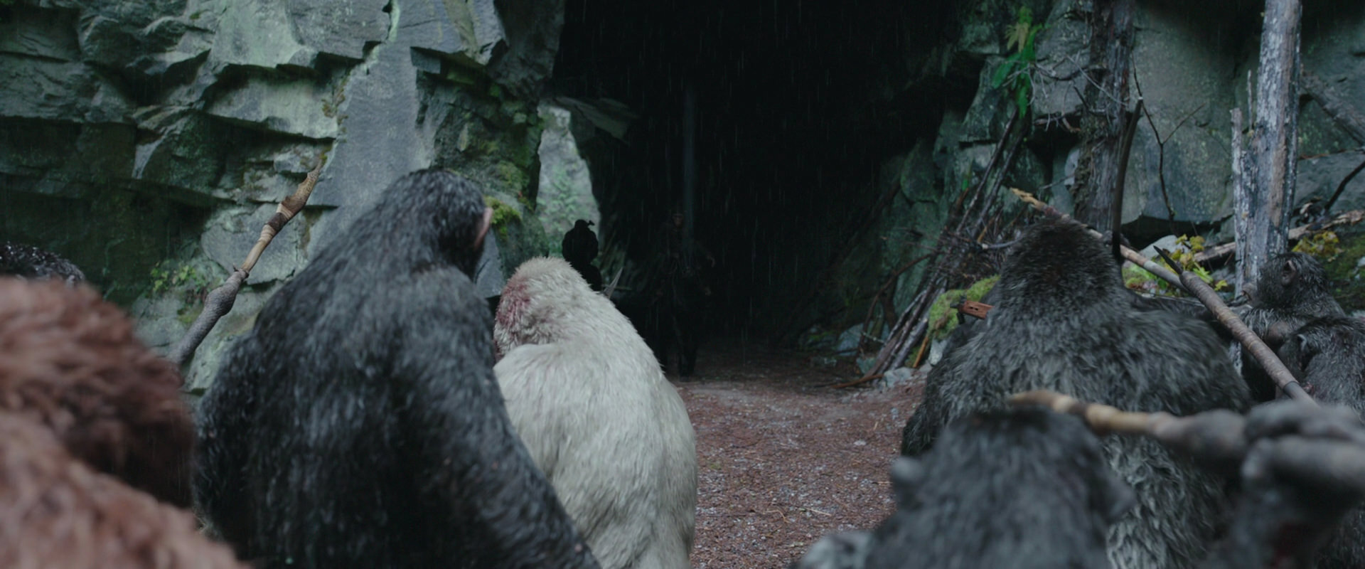 War for the Planet of the Apes (2017) screencap 1467