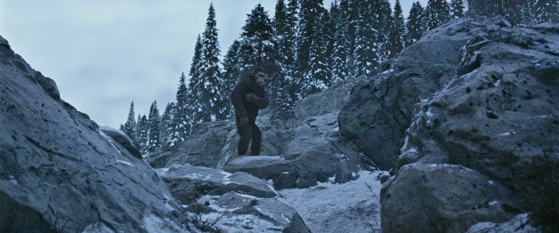 War for the Planet of the Apes (2017) HD screenshot 14675
