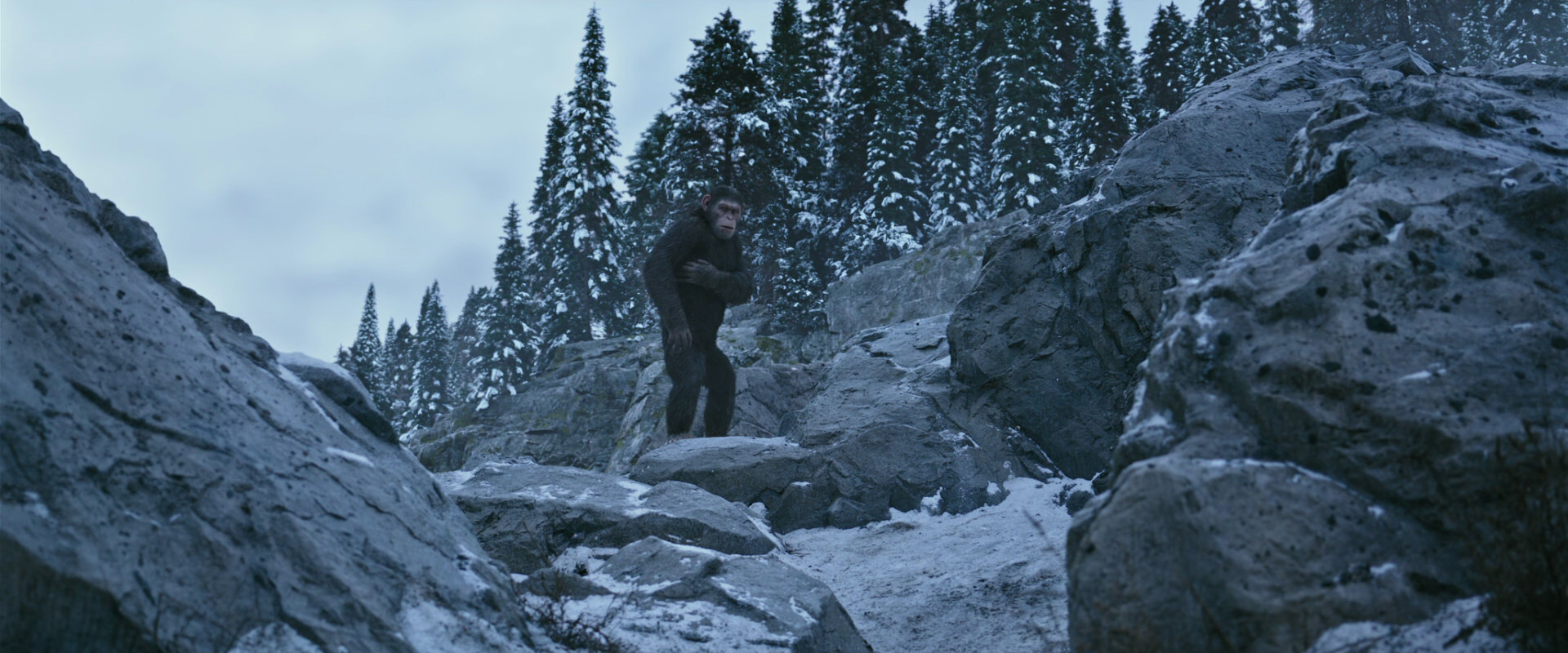 War for the Planet of the Apes (2017) screencap 14676