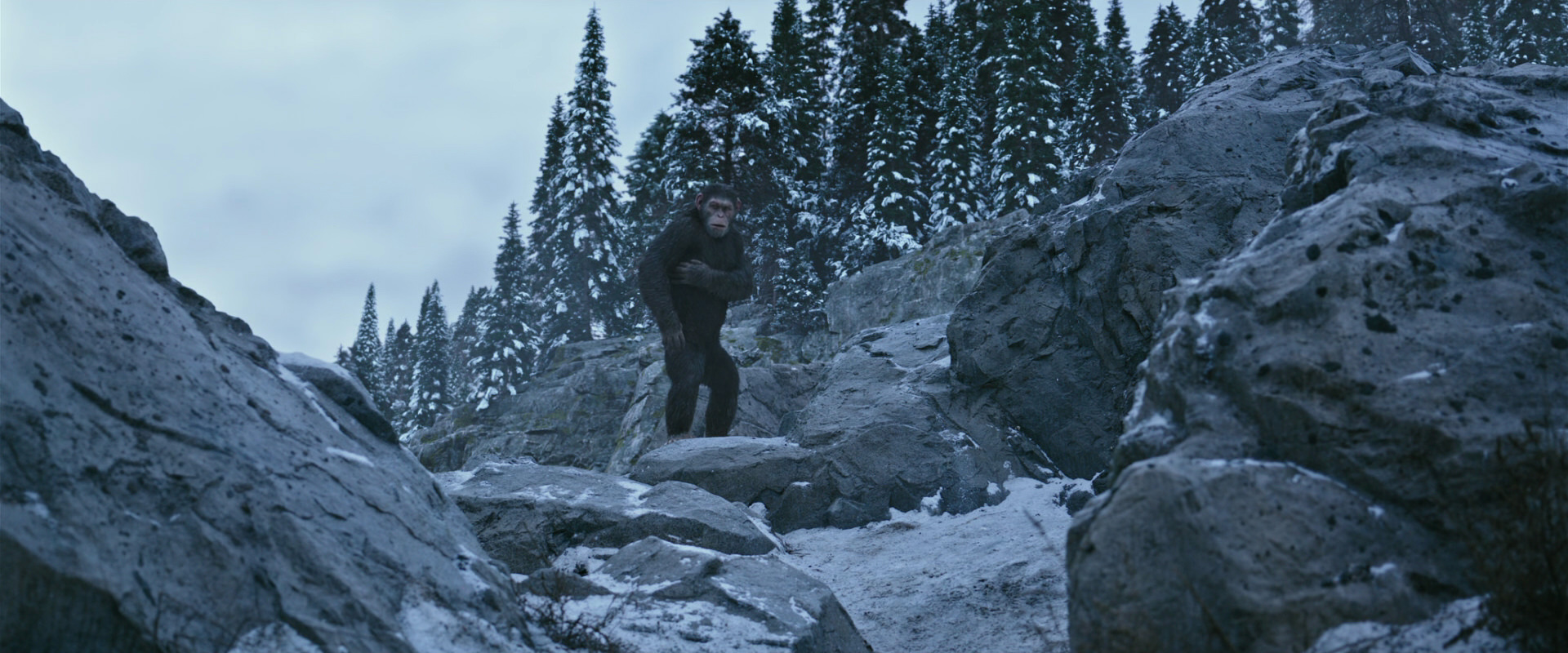 War for the Planet of the Apes (2017) HD screenshot 14678