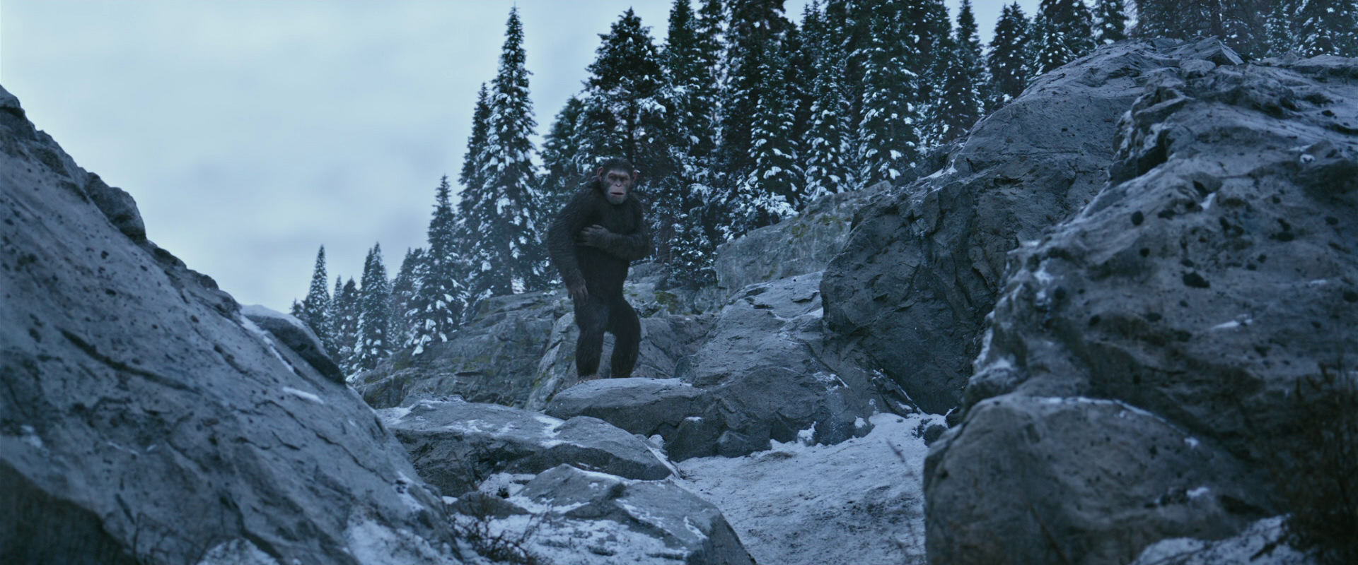 War for the Planet of the Apes (2017) movie still 14680
