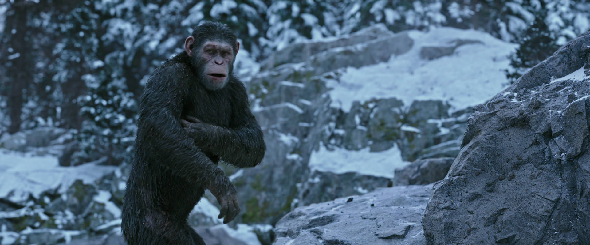 War for the Planet of the Apes (2017) movie still 14704