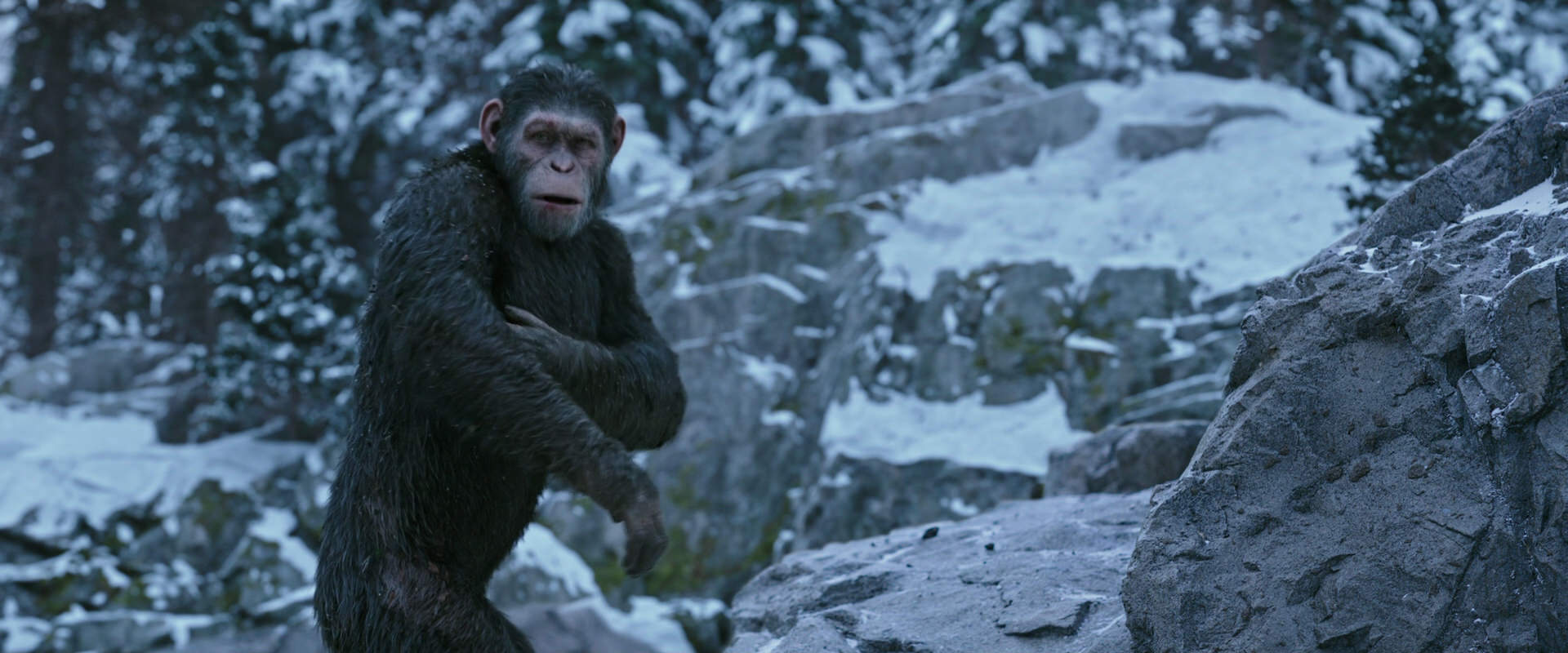 War for the Planet of the Apes (2017) HD screenshot 14705