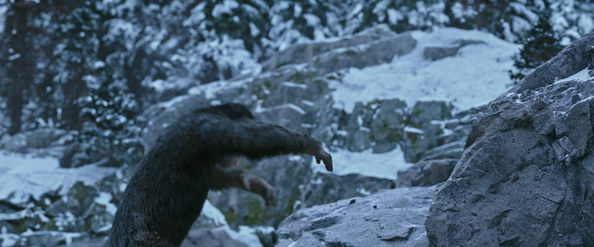 War for the Planet of the Apes (2017) screencap 14706
