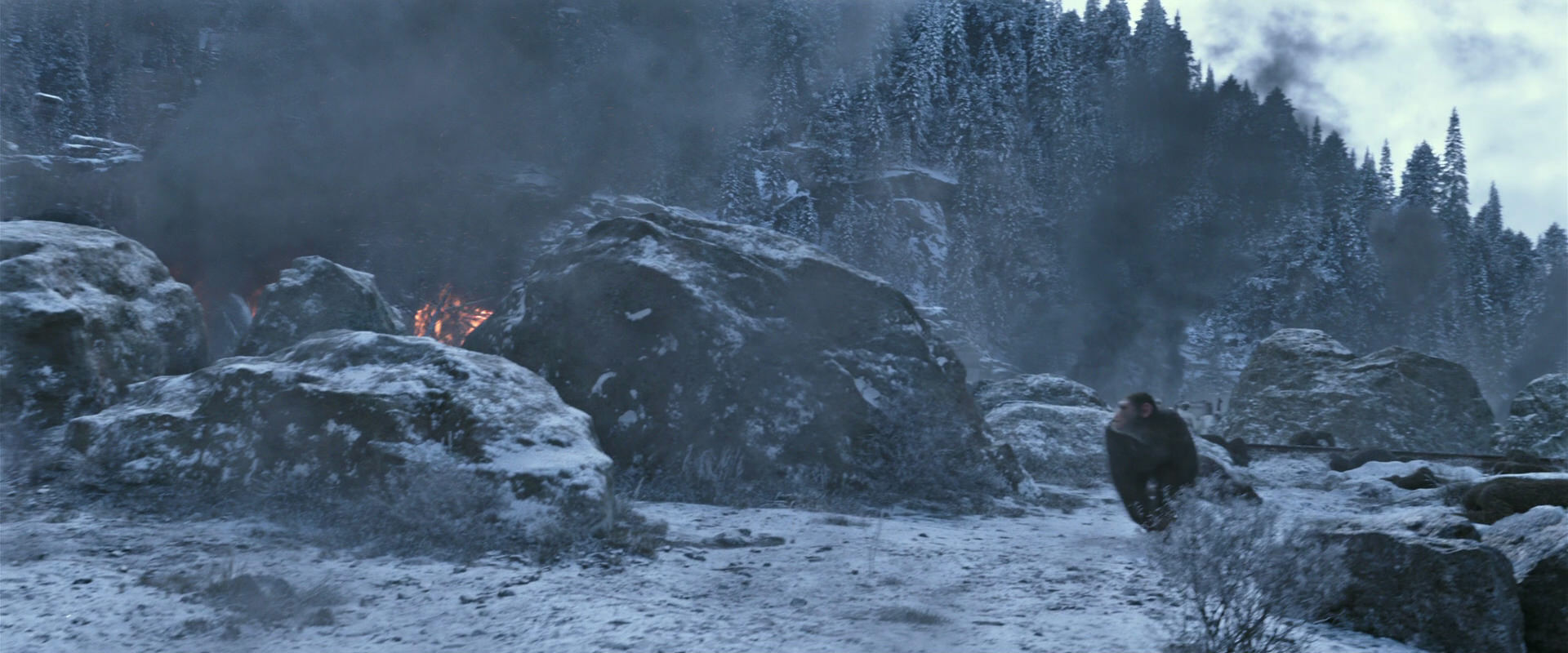 War for the Planet of the Apes (2017) movie still 14713