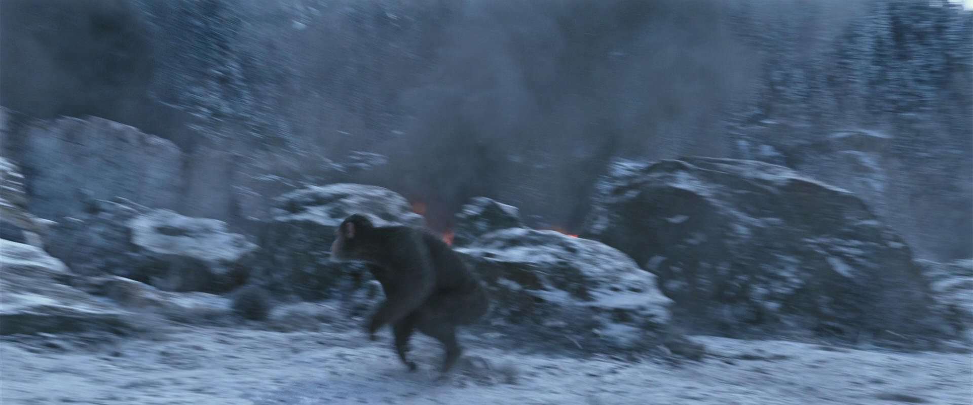 War for the Planet of the Apes (2017) screencap 14715