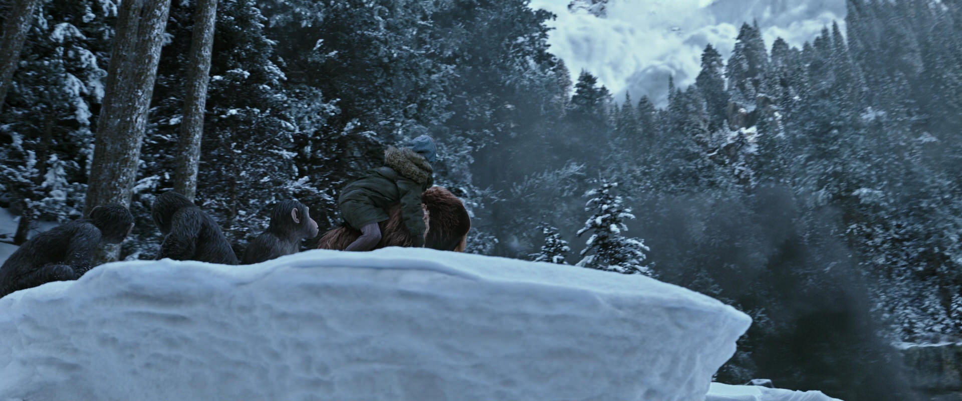 War for the Planet of the Apes (2017) screencap 14724