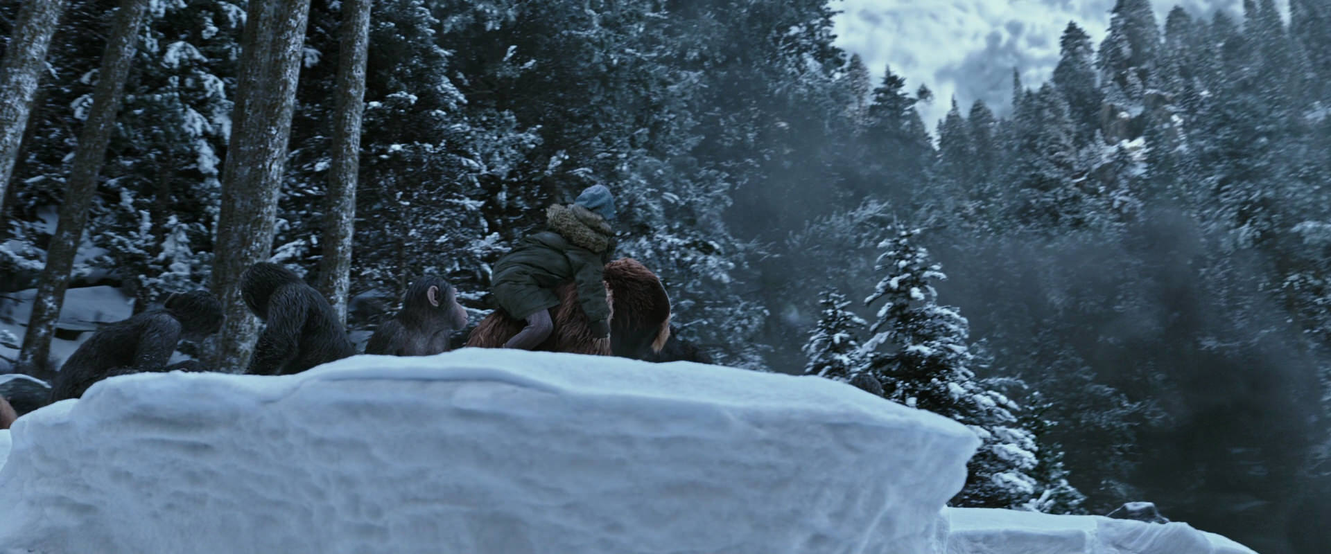 War for the Planet of the Apes (2017) movie still 14725
