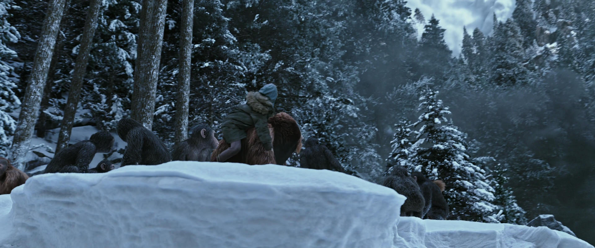 War for the Planet of the Apes (2017) HD screenshot 14726