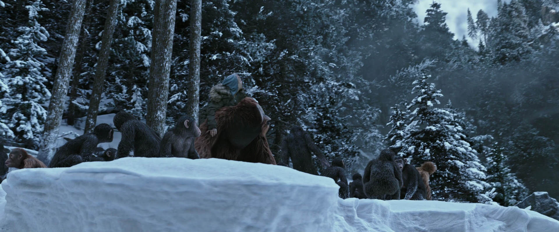 War for the Planet of the Apes (2017) screencap 14727