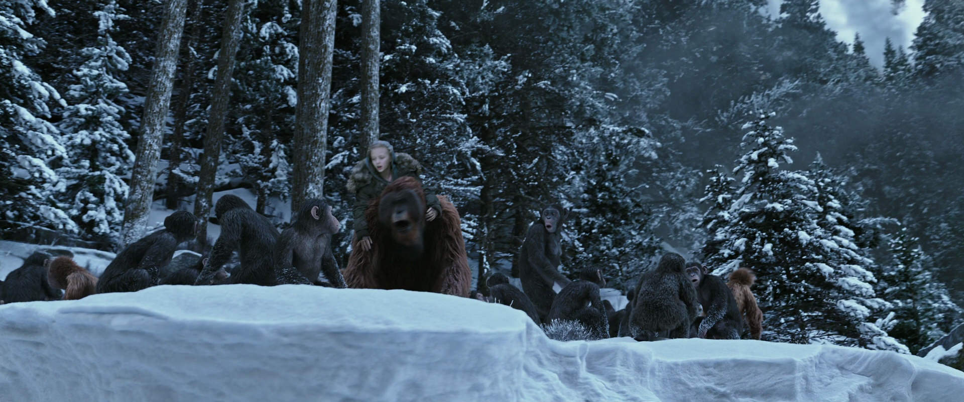 War for the Planet of the Apes (2017) movie still 14728