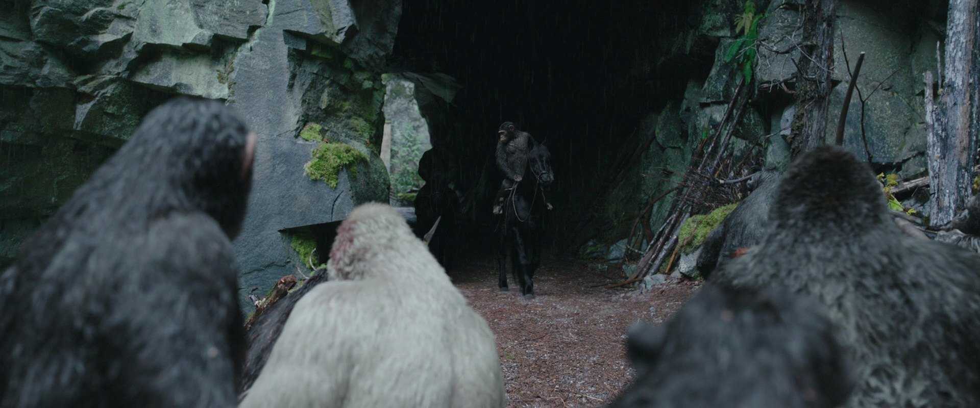 War for the Planet of the Apes (2017) screencap 1473