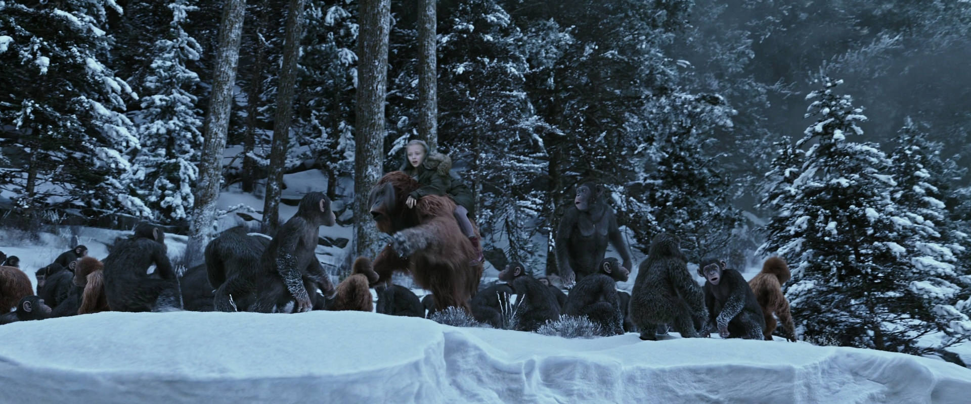 War for the Planet of the Apes (2017) screencap 14730