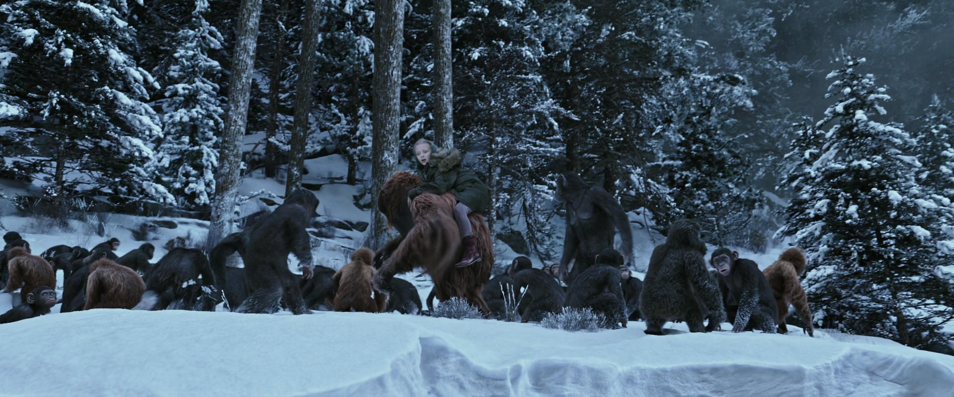War for the Planet of the Apes (2017) movie still 14731