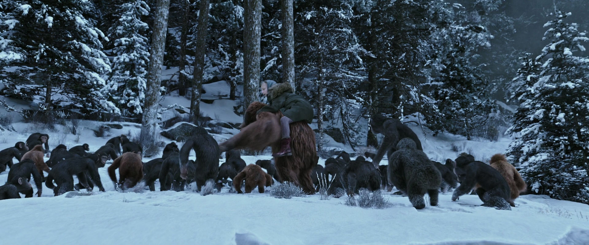 War for the Planet of the Apes (2017) screencap 14733