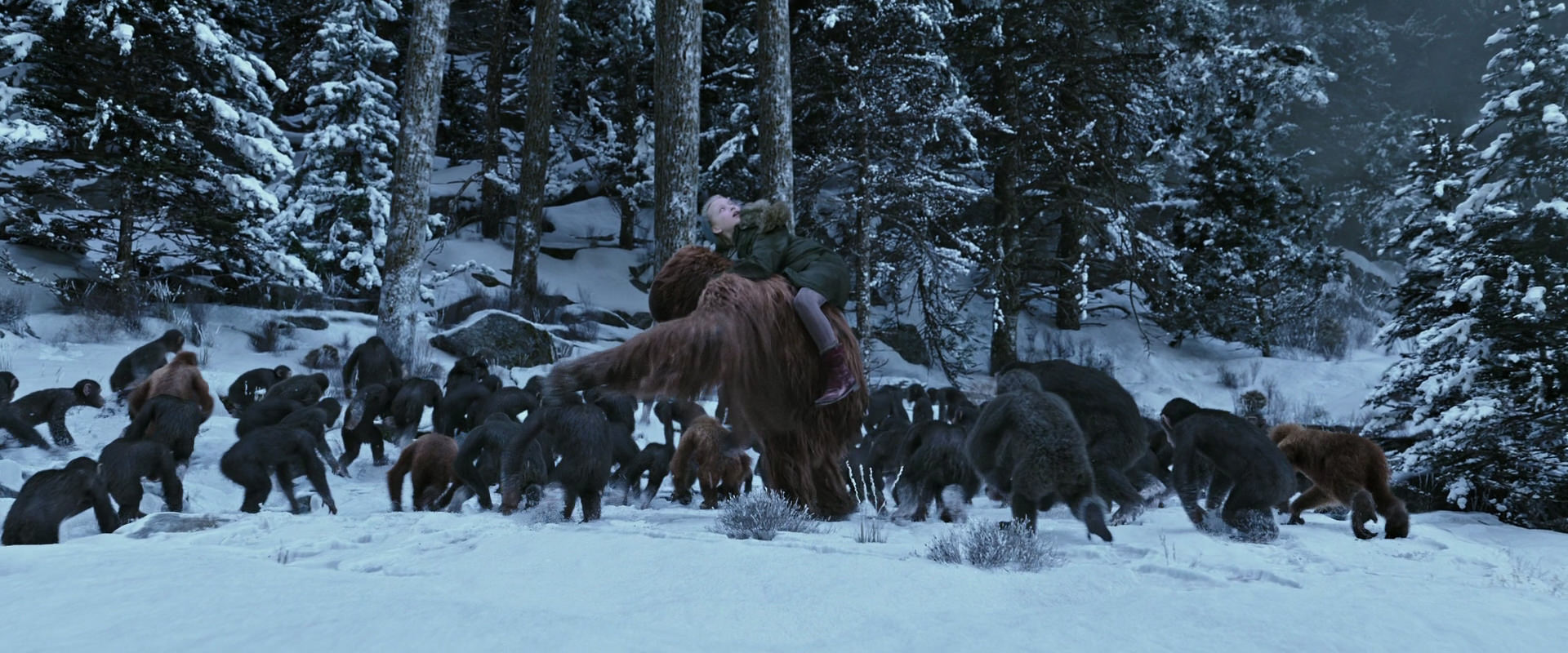 War for the Planet of the Apes (2017) movie still 14734