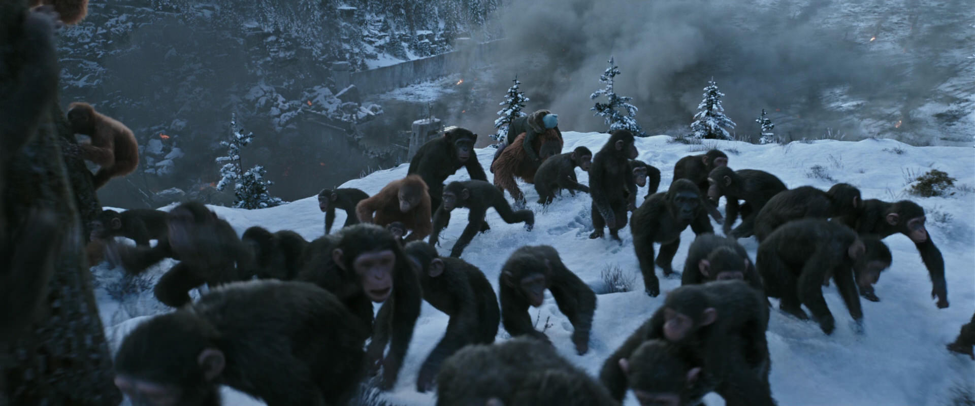 War for the Planet of the Apes (2017) screencap 14736