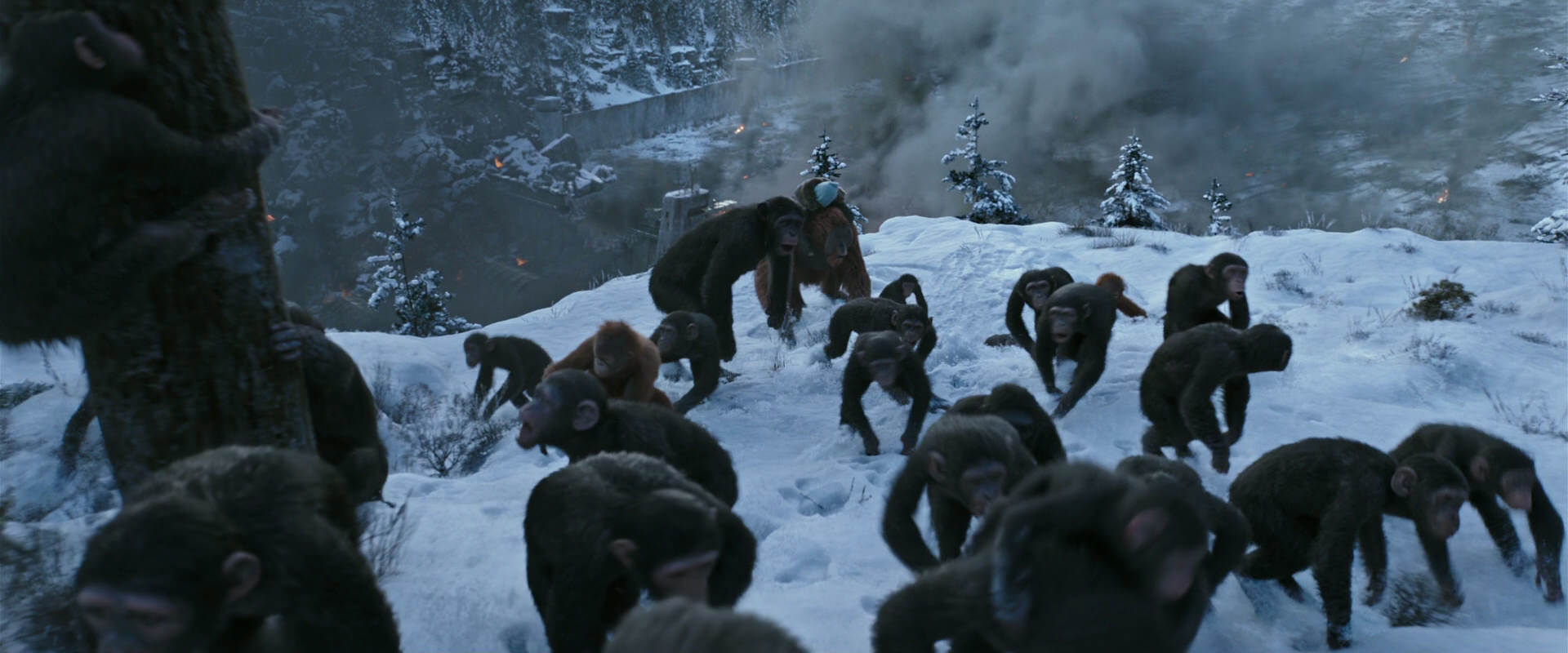 War for the Planet of the Apes (2017) movie still 14737