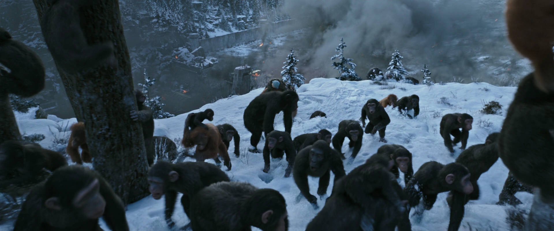 War for the Planet of the Apes (2017) HD screenshot 14738