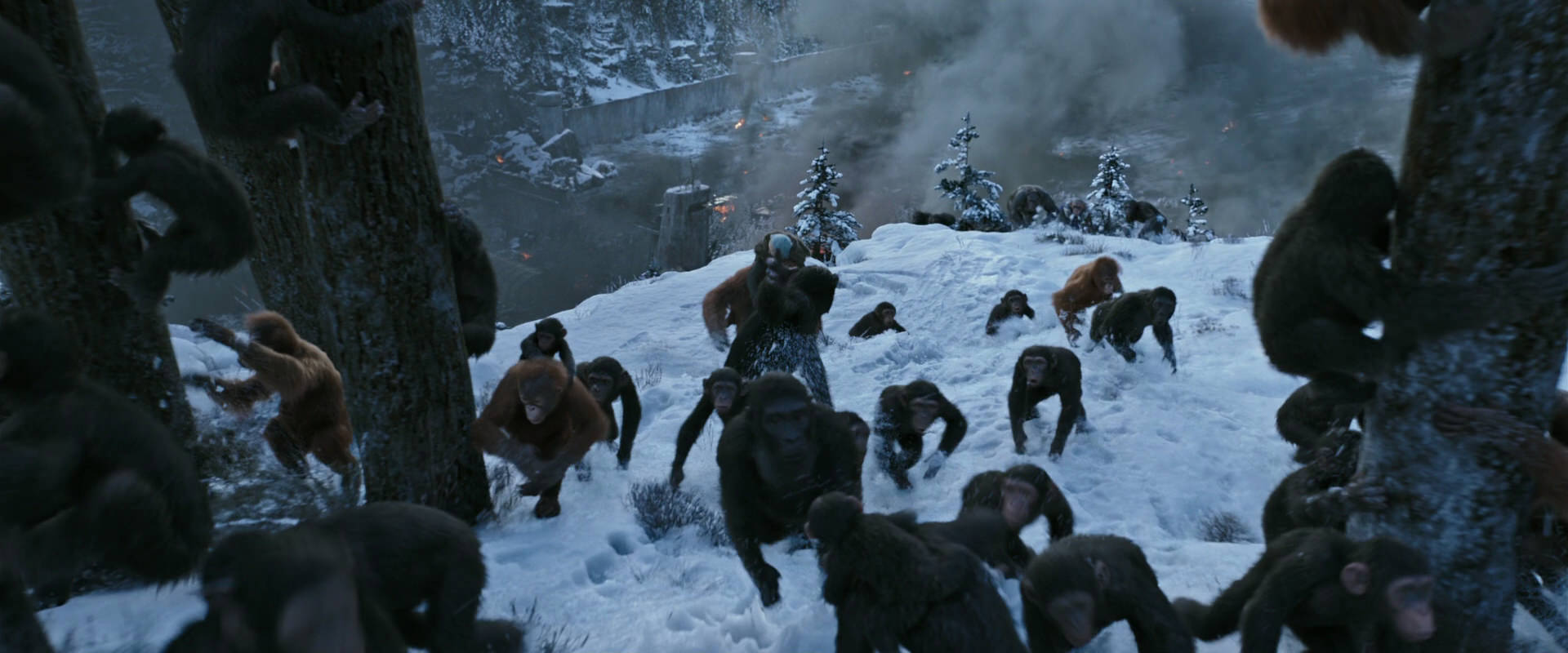 War for the Planet of the Apes (2017) screencap 14739