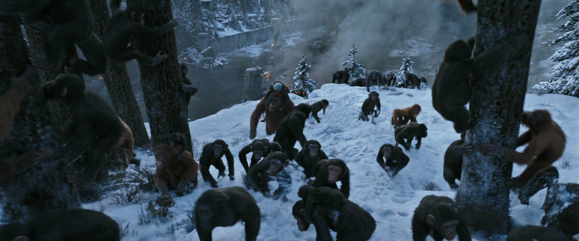 War for the Planet of the Apes (2017) movie still 14740