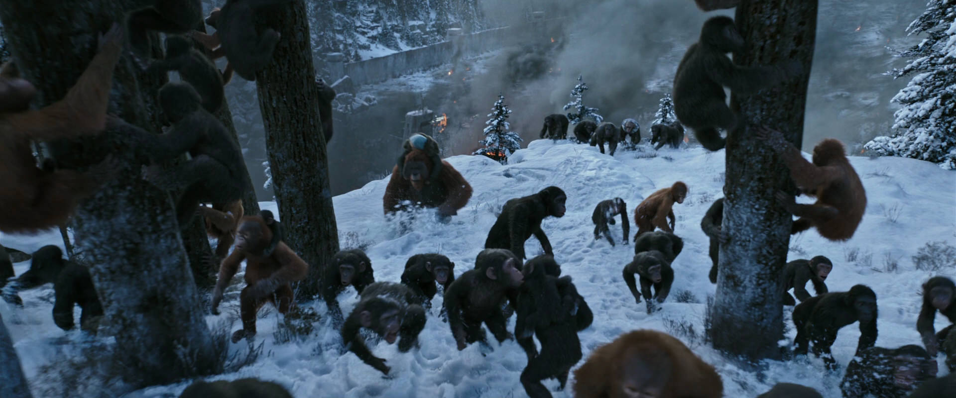 War for the Planet of the Apes (2017) HD screenshot 14741