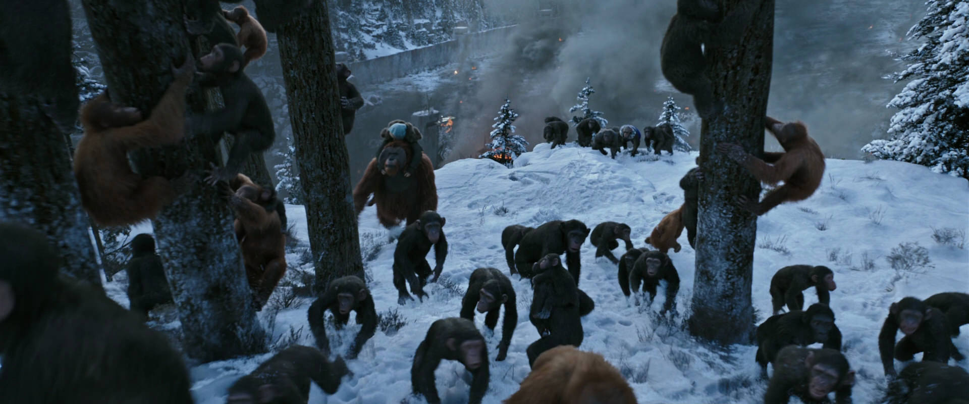 War for the Planet of the Apes (2017) screencap 14742