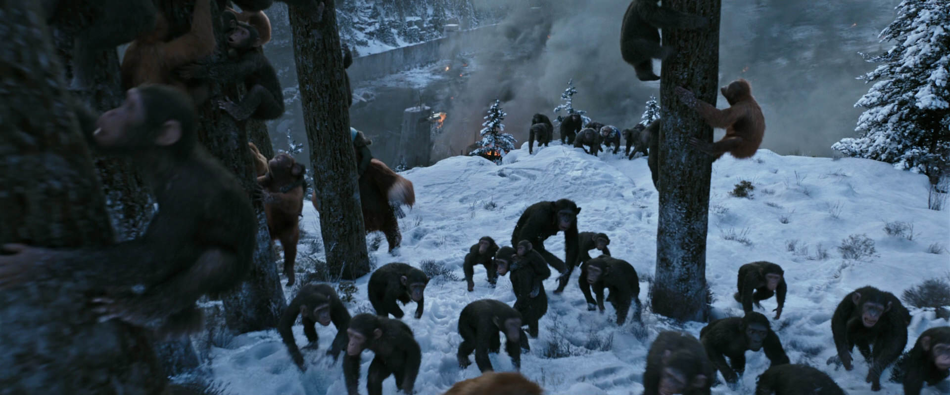 War for the Planet of the Apes (2017) movie still 14743