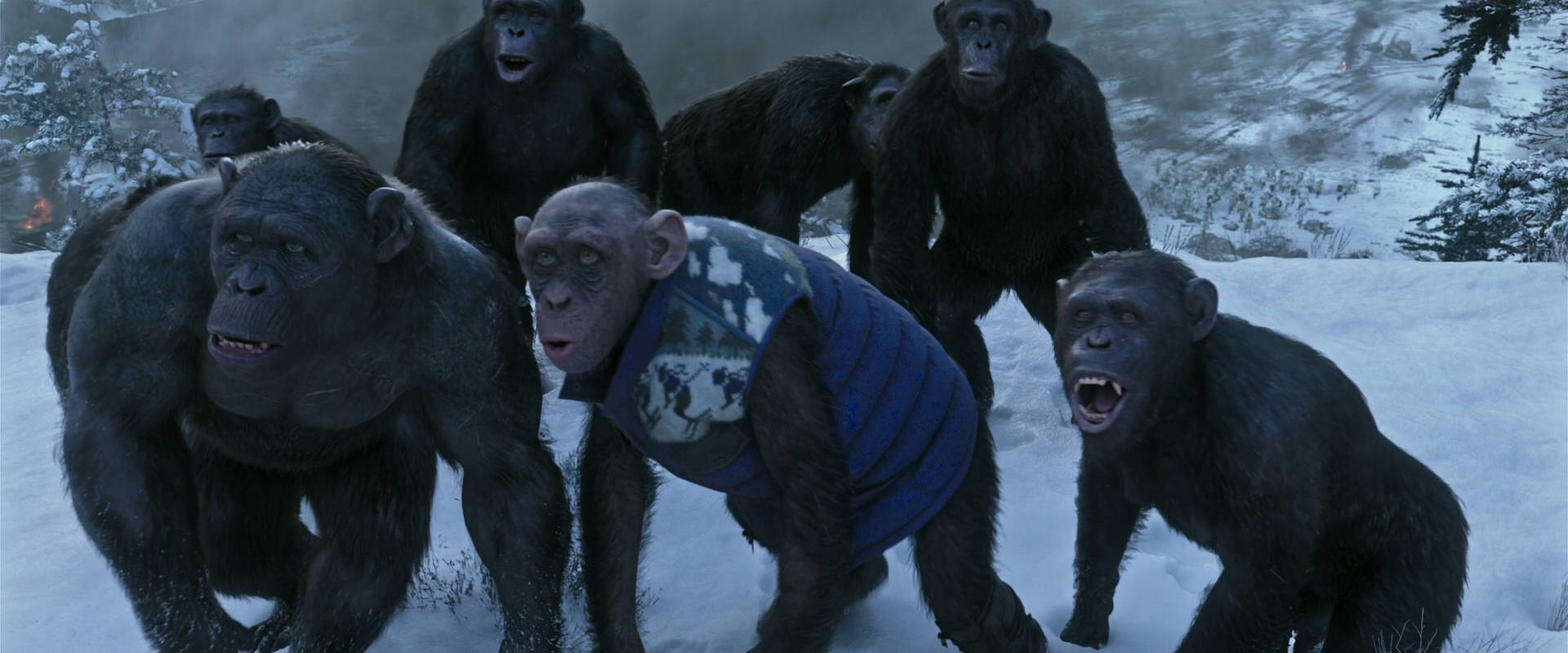 War for the Planet of the Apes (2017) screencap 14745
