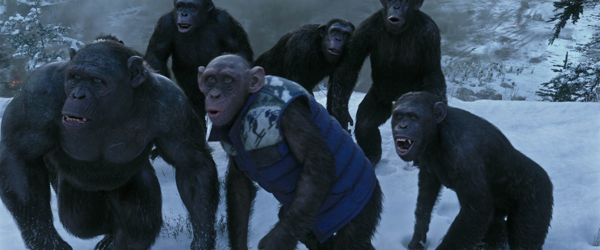 War for the Planet of the Apes (2017) movie still 14746