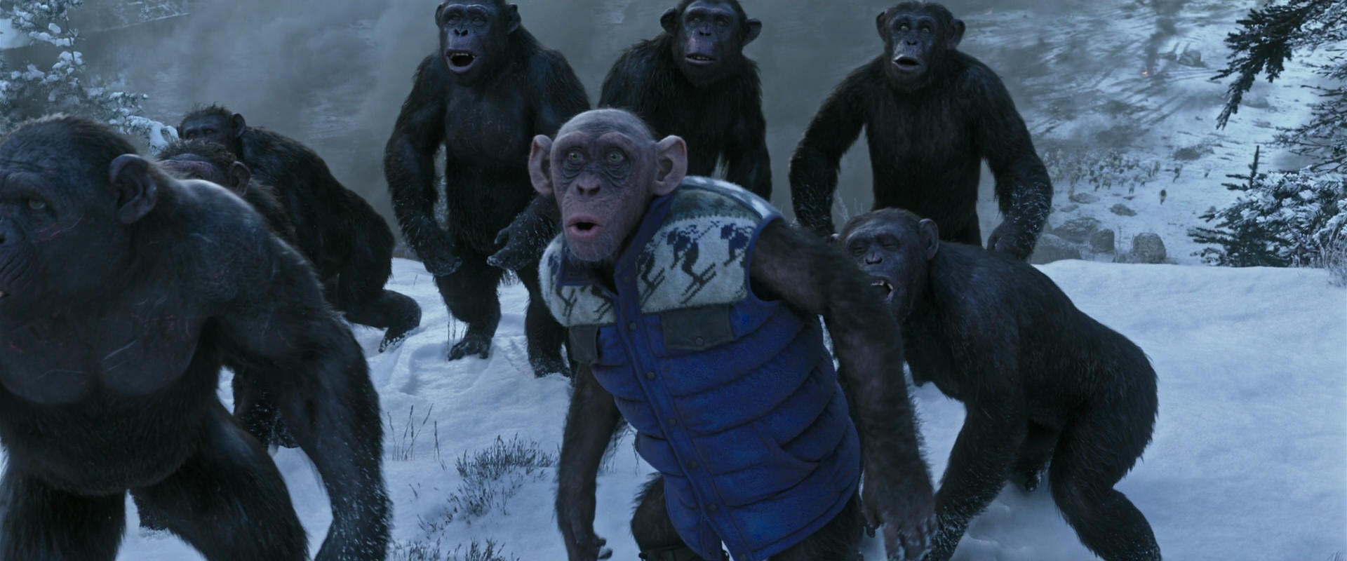 War for the Planet of the Apes (2017) movie still 14749