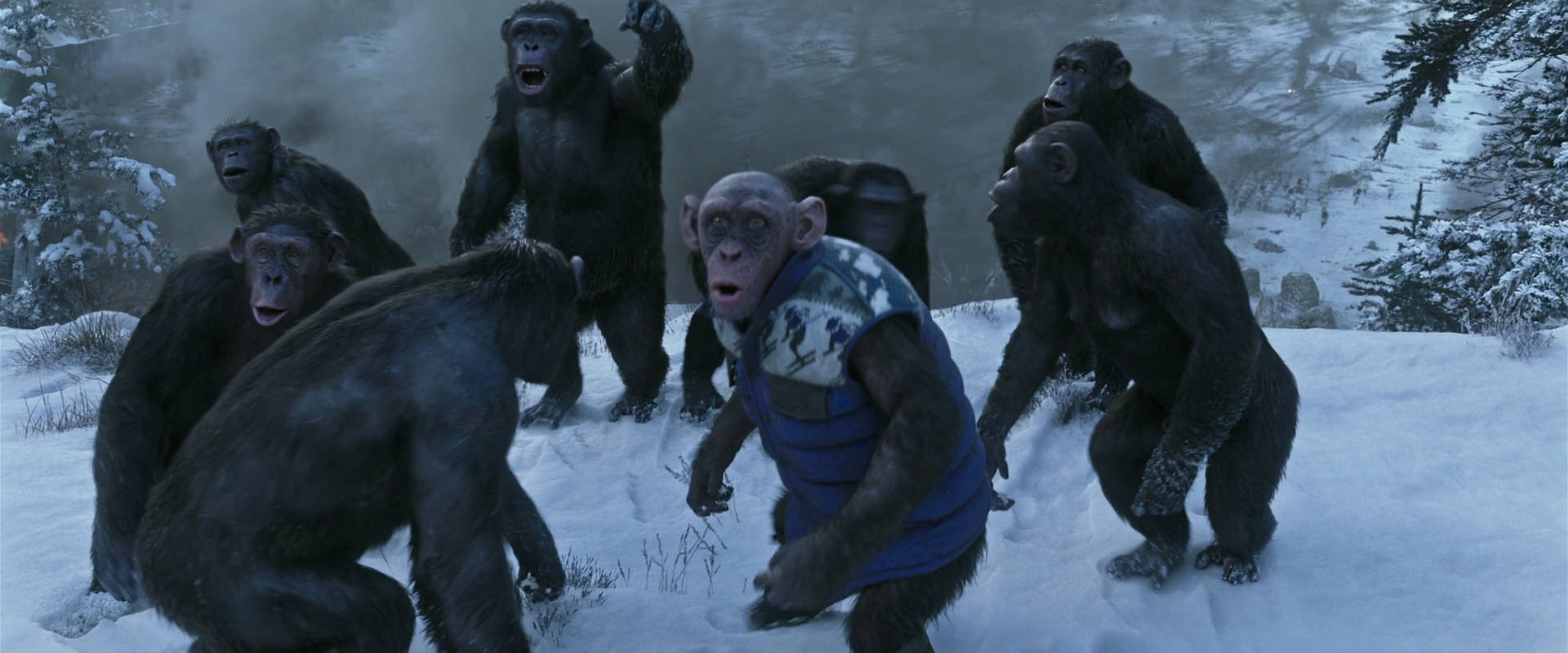 War for the Planet of the Apes (2017) movie still 14752