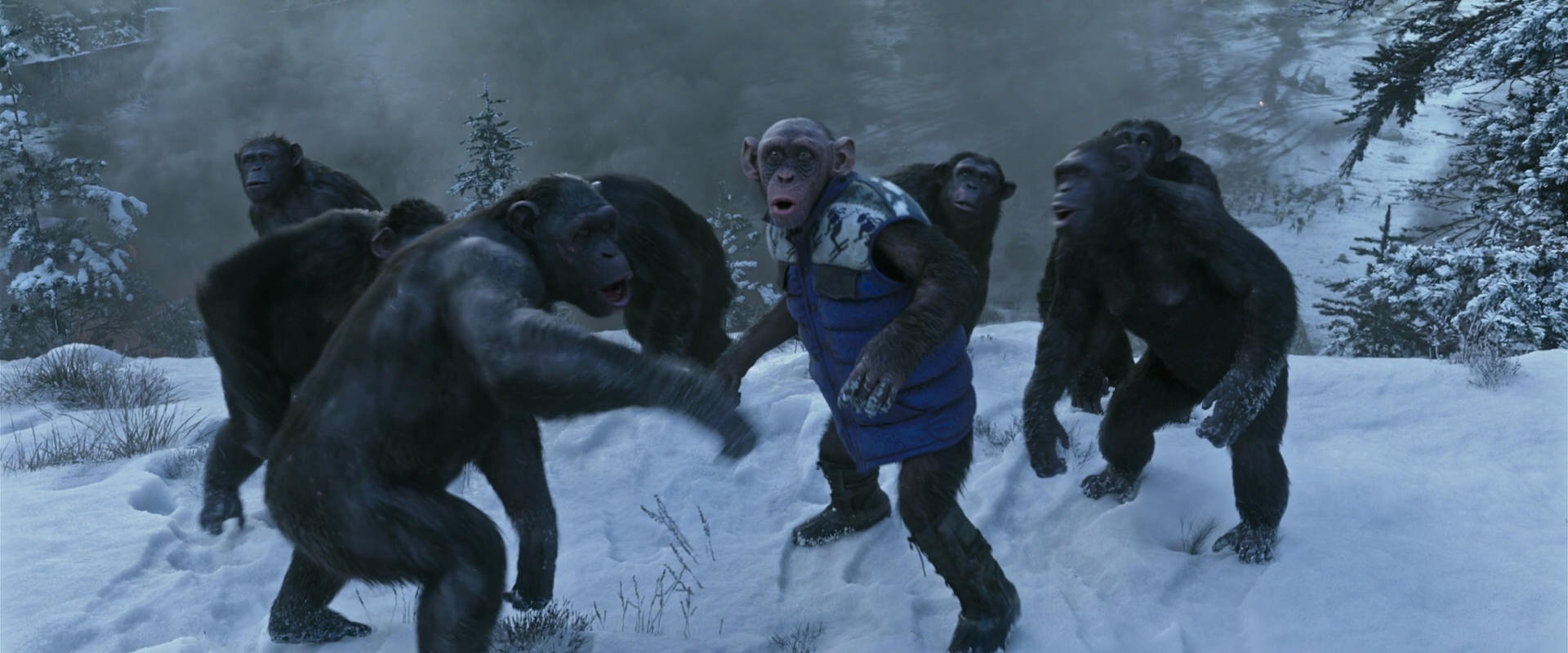 War for the Planet of the Apes (2017) screencap 14754