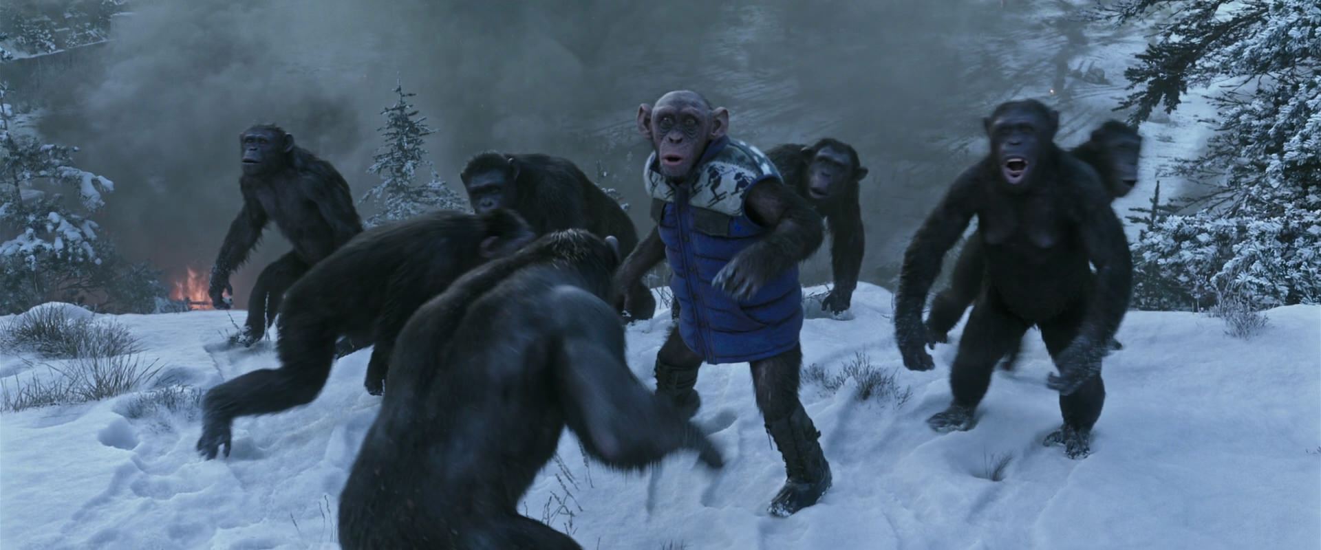 War for the Planet of the Apes (2017) movie still 14755
