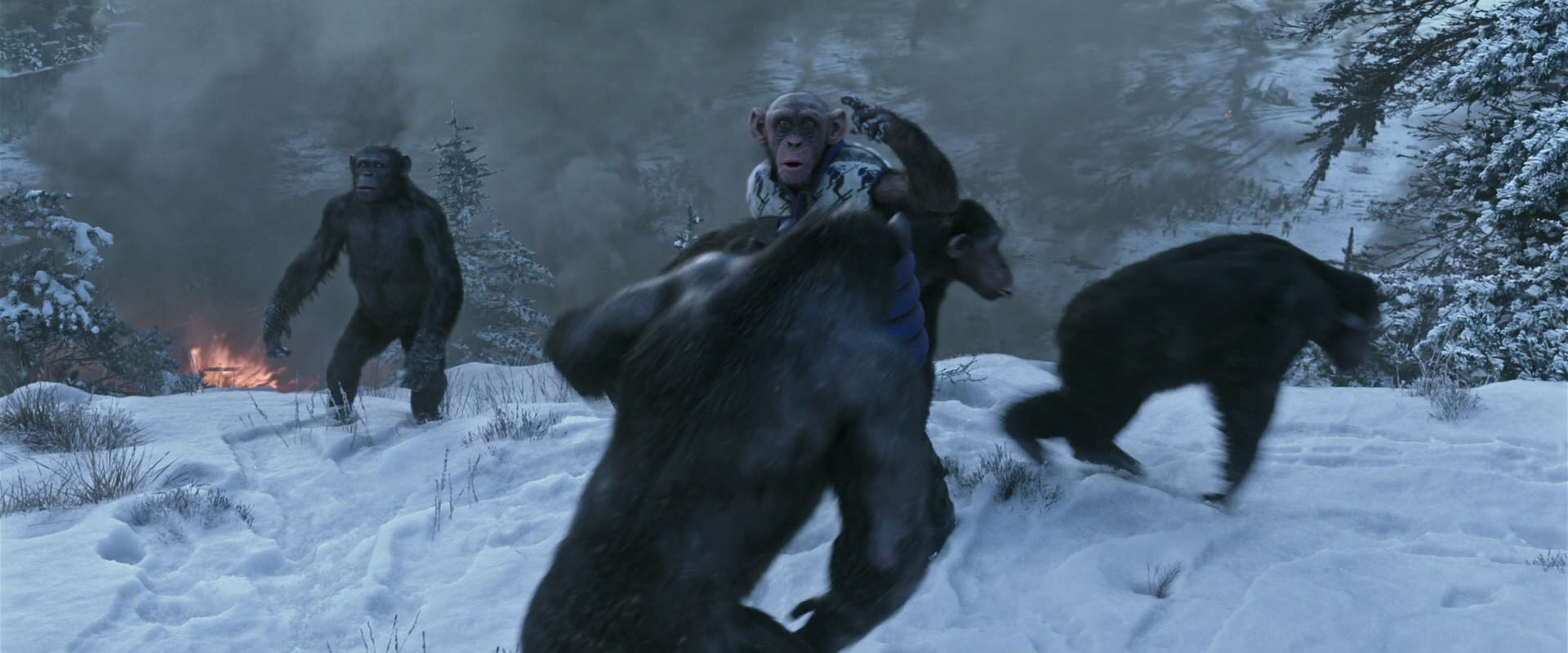War for the Planet of the Apes (2017) screencap 14757