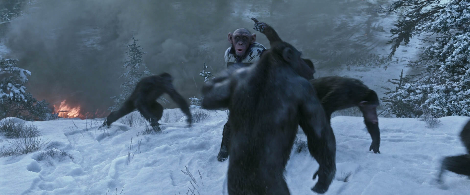 War for the Planet of the Apes (2017) movie still 14758