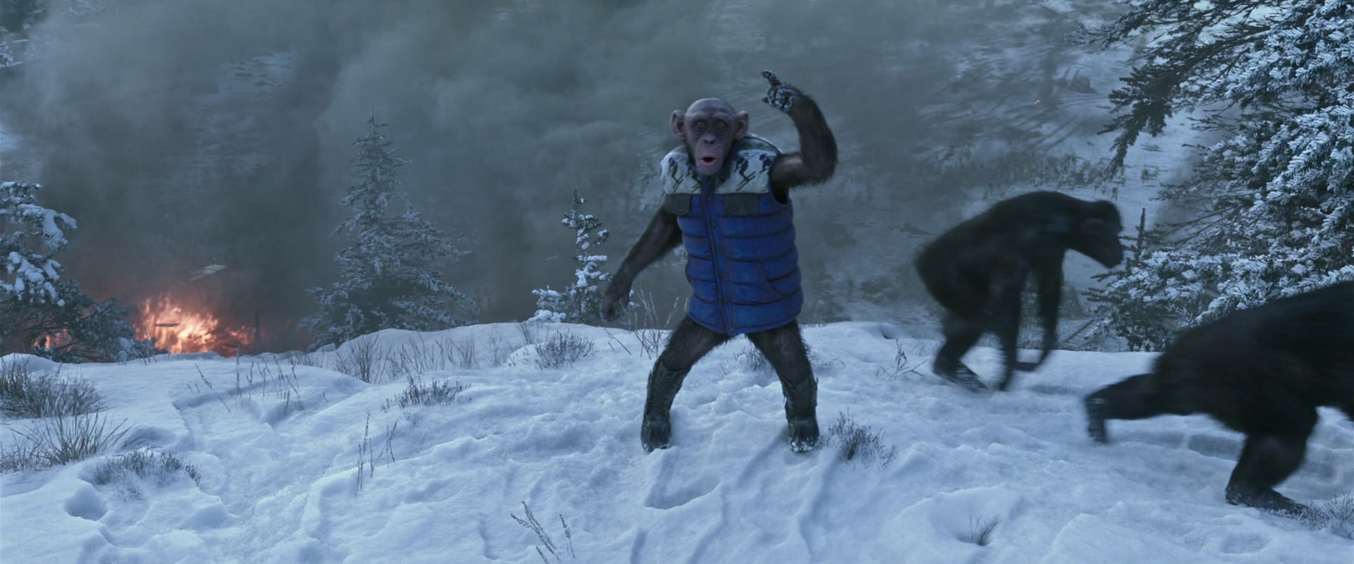 War for the Planet of the Apes (2017) screencap 14760