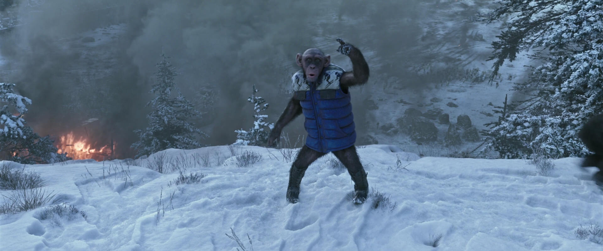 War for the Planet of the Apes (2017) movie still 14761