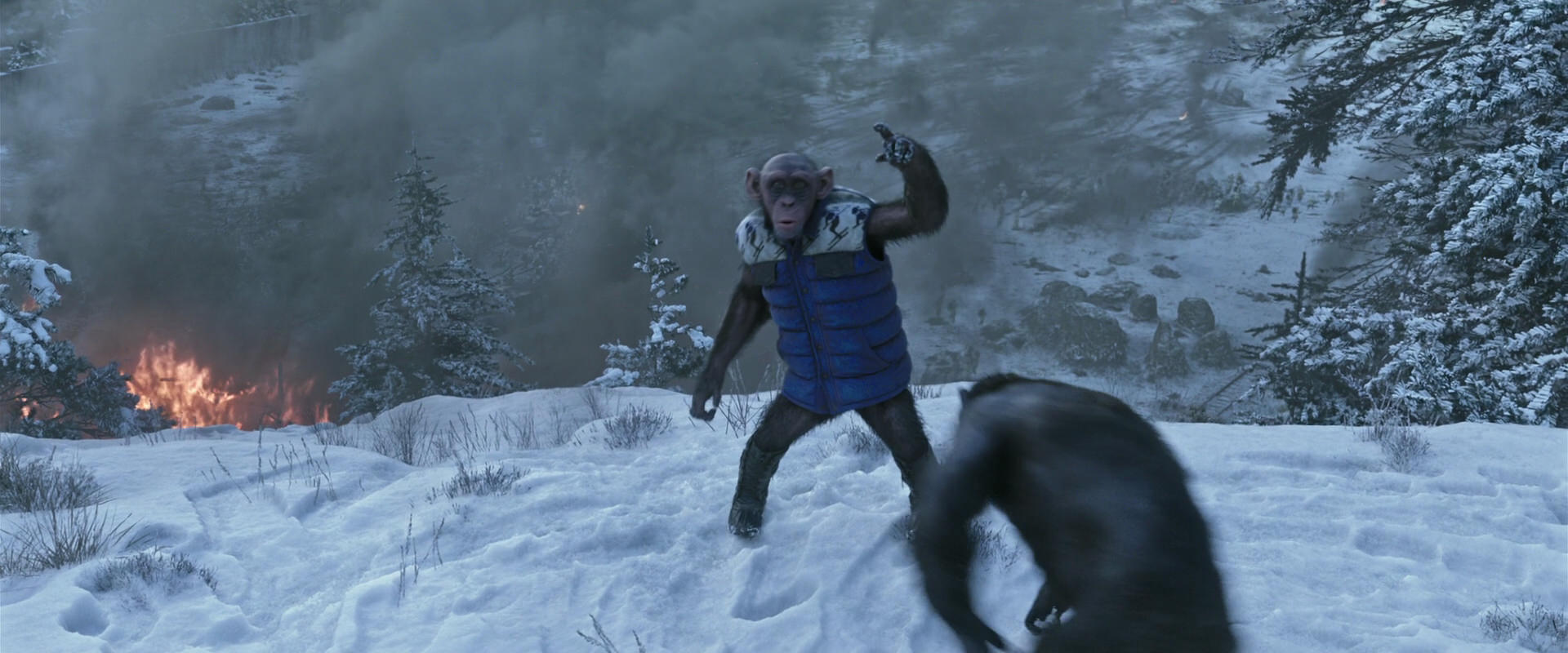 War for the Planet of the Apes (2017) screencap 14763