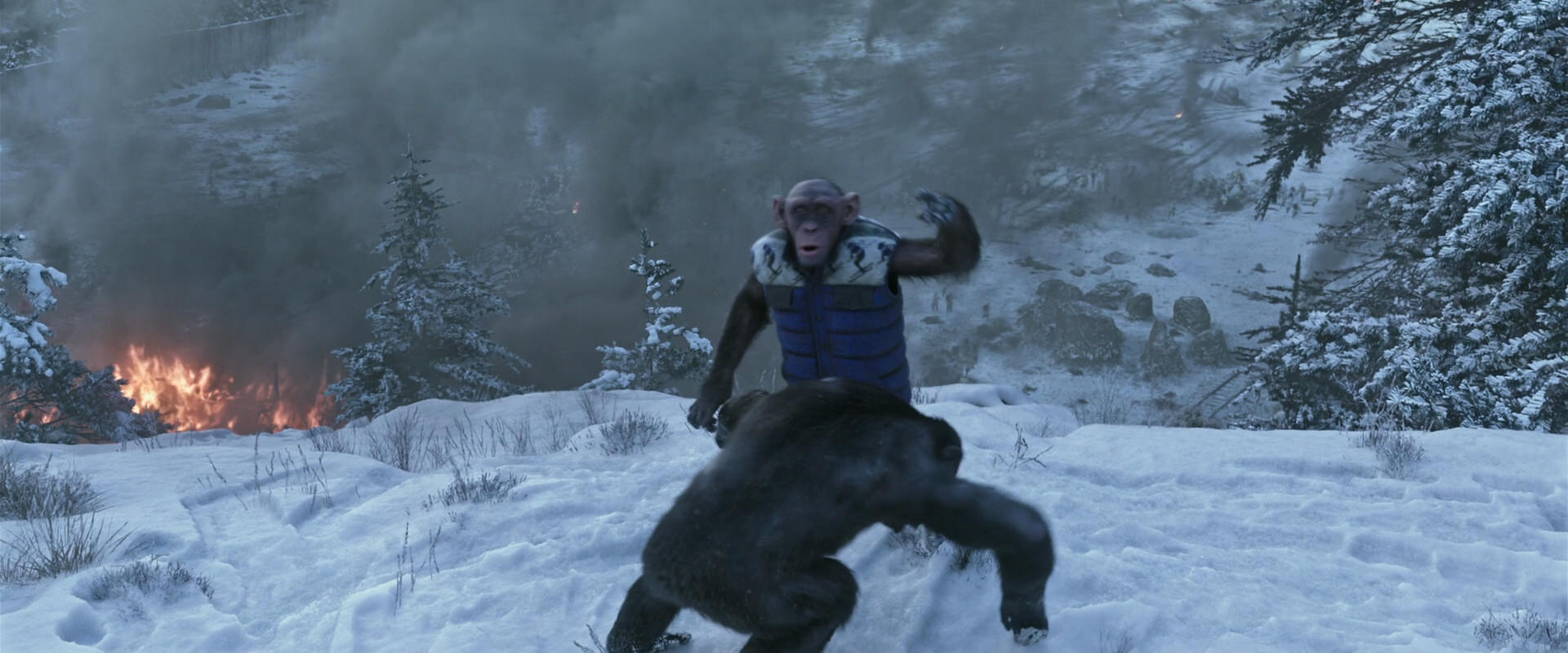 War for the Planet of the Apes (2017) movie still 14764