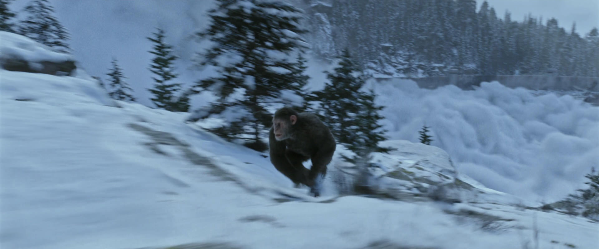 War for the Planet of the Apes (2017) screencap 14787