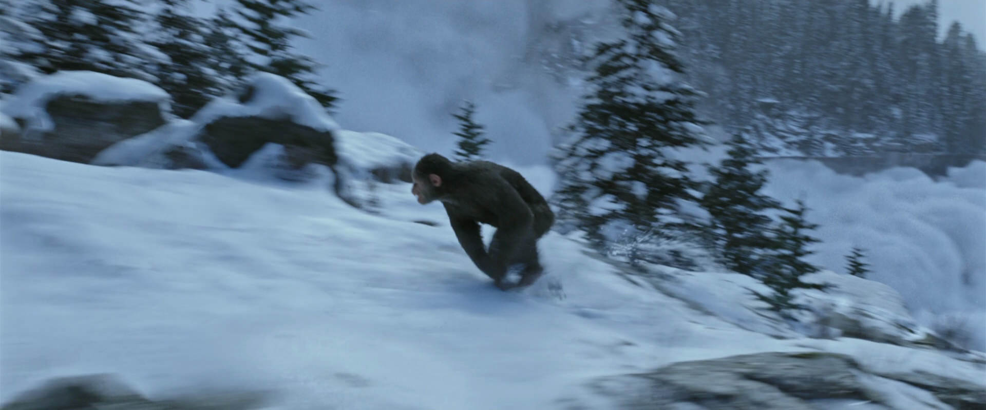 War for the Planet of the Apes (2017) movie still 14788