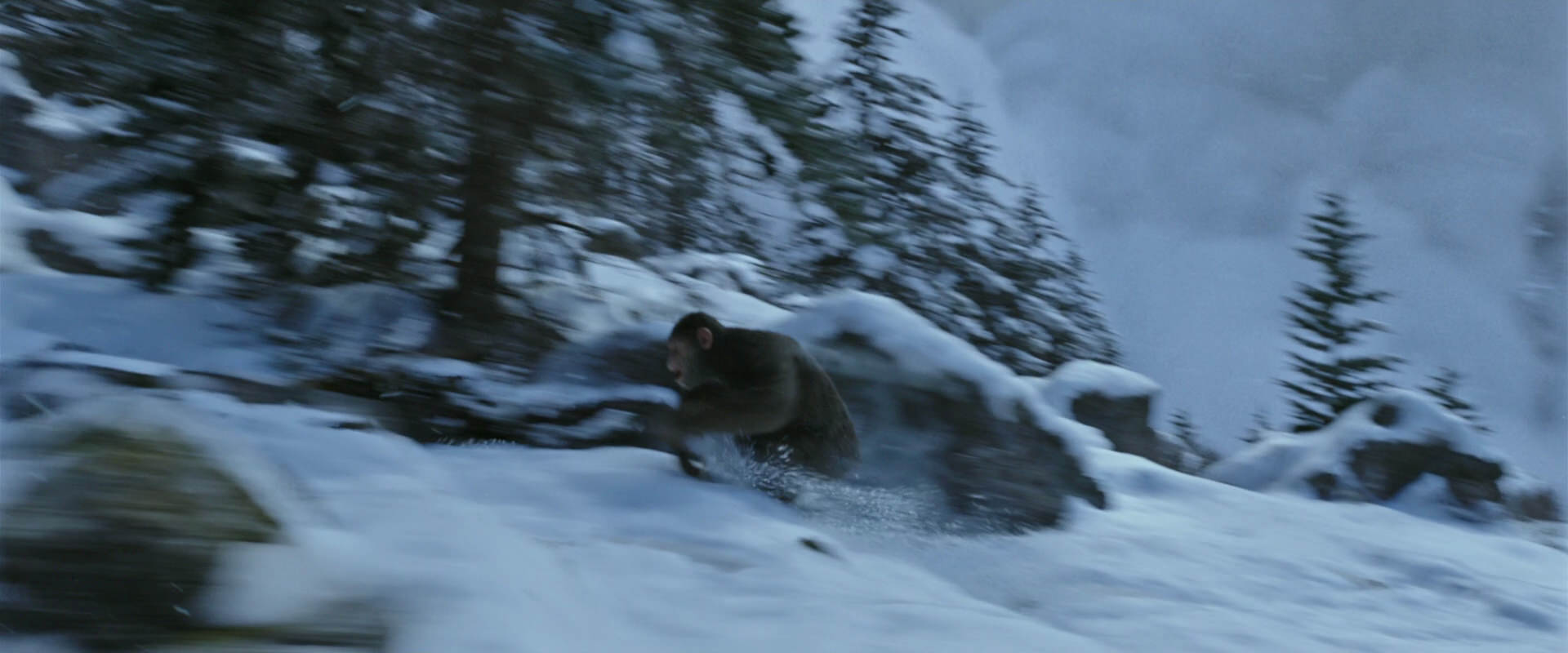 War for the Planet of the Apes (2017) screencap 14790