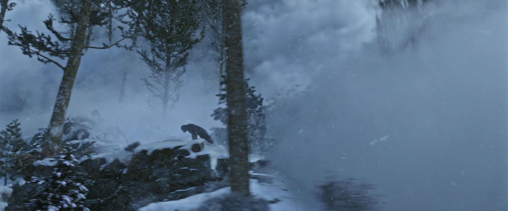 War for the Planet of the Apes (2017) screencap 14799
