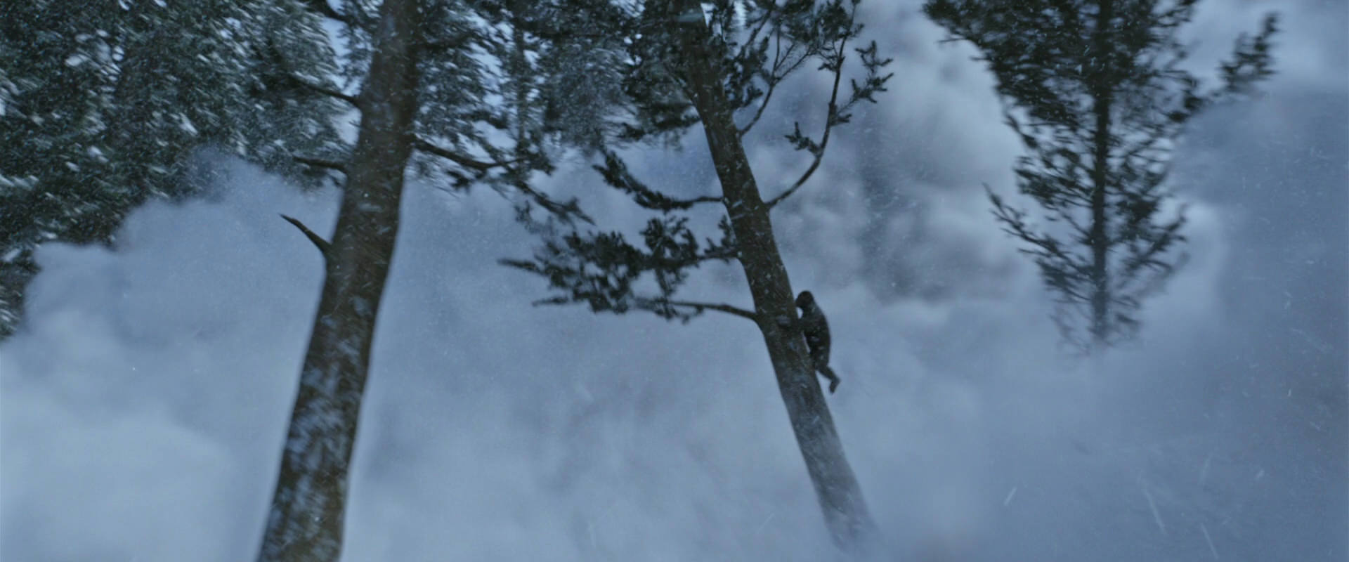 War for the Planet of the Apes (2017) HD screenshot 14804