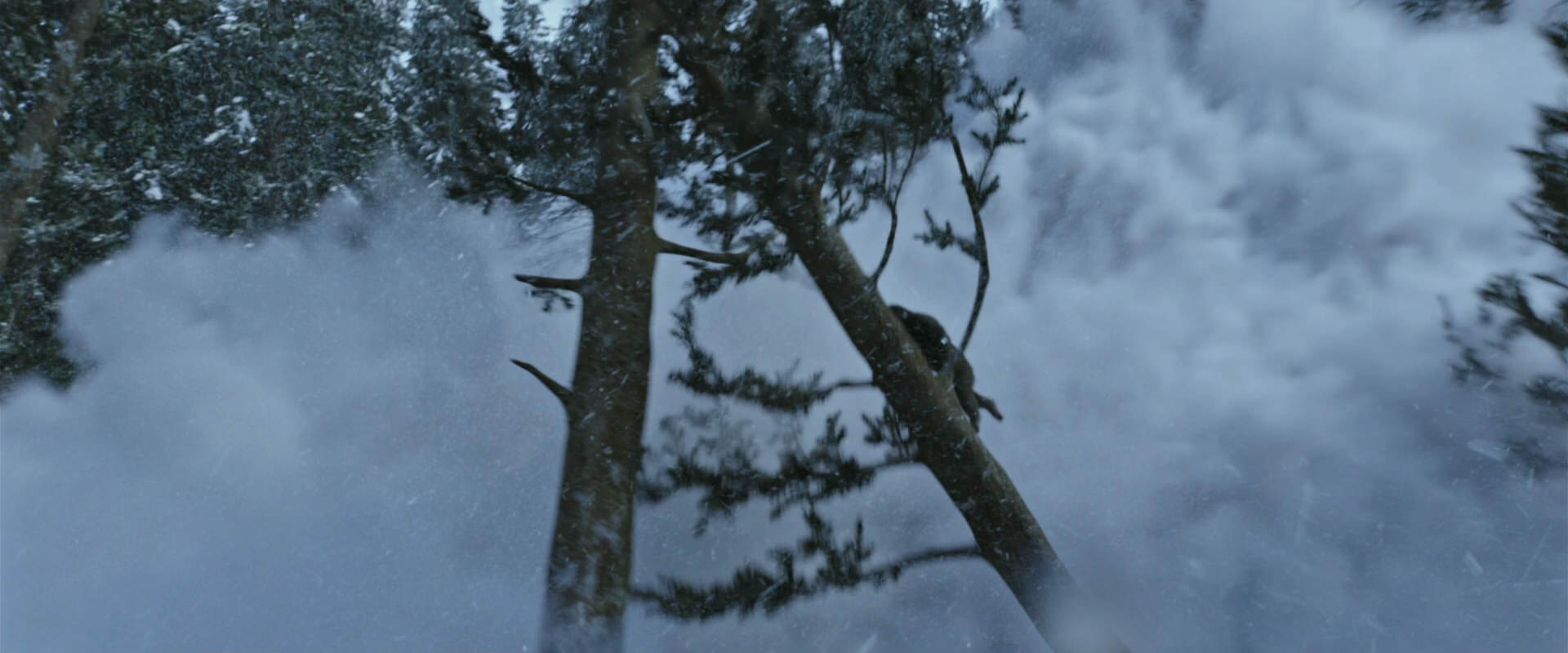 War for the Planet of the Apes (2017) screencap 14805